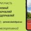 В Харькове стартует спортивный конкурс ко Дню города
