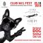 Фестиваль сімейного дозвілля Club№1 Fest - національна виставка собак усіх порід