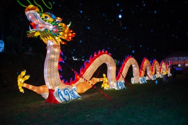 Открытие Фестиваля Гигантских Китайских Фонарей в Харькове