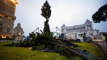 Жители Рима пожаловались на рождественскую ель