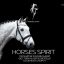 Всеукраїнський фестиваль верхової їзди та кінних видів спорту Horses Sririt