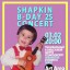 Shapkin B-Day 25 Concert в ART AREA ДК