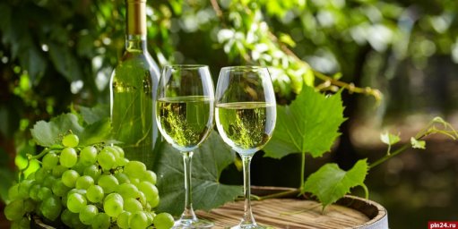 Каким будет вино урожая 2019 года: прогнозы виноделов из ведущих регионов мира