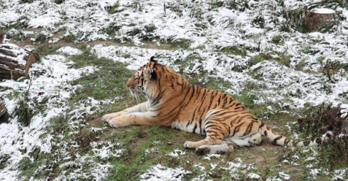 В Харьковском зоопарке подготовились к зиме