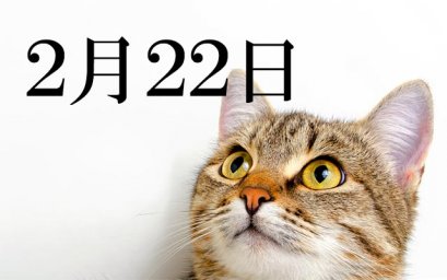 22 февраля Японцы отмечают День кошки