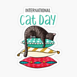 8 августа – Всемирный день кошек