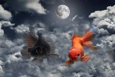 Ученые предложили выращивать рыбу на Луне