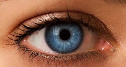 Теперь родители могут выбрать цвет глаз ребенка еще до его рождения