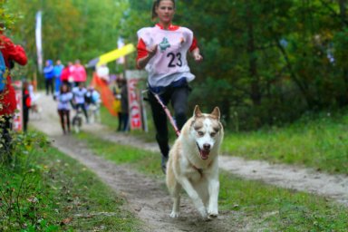 В Харькове пройдет массовый забег с собаками