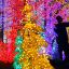 Рождественские обычаи и традиции в Азии