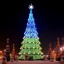 В Харькове откроют главную елку города