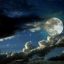 Влияние Луны: без Луны Земля пустилась бы вприпрыжку