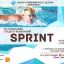 Соревнования по плаванию «Sprint» среди IT-компаний