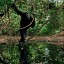 Искусство и эволюция: «Третий шимпанзе» Джареда Даймонда