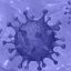 Обнаружены ещё две новые мутации коронавируса