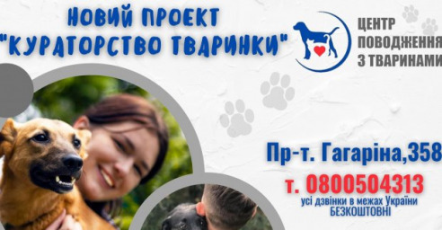 Харьковчанам предлагают стать опекунами животных из городского приюта