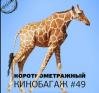 Короткометражный Кинобагаж #49